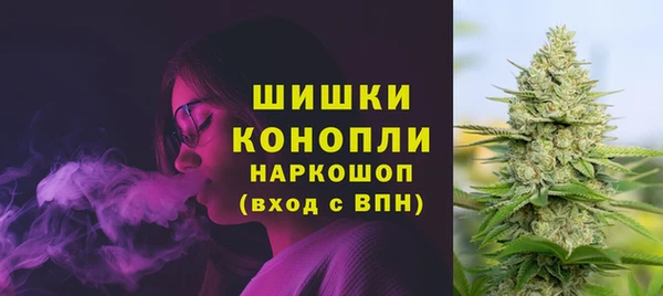 шишки Михайловка