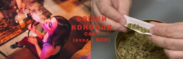 шишки Михайловка