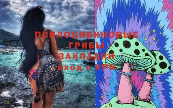 шишки Михайловка