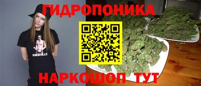 мескалин Камышлов