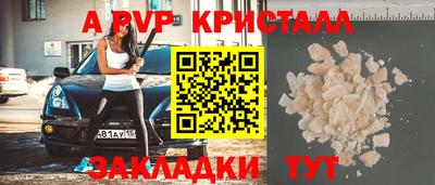 спайс Кингисепп