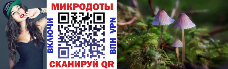 ссылка на мегу как войти  Холмск  Галлюциногенные грибы прущие грибы  как найти закладки 