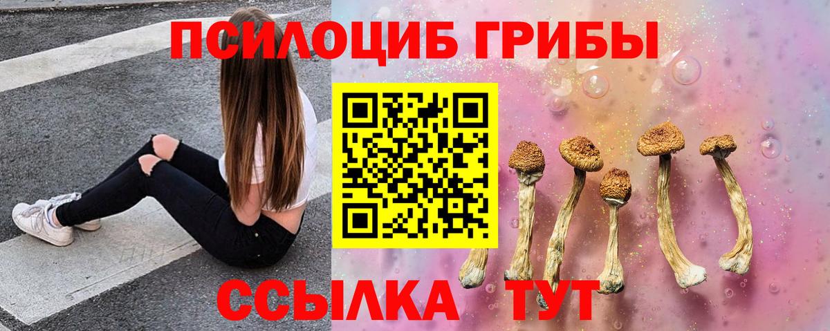 даркнет сайт  Вход с VPN  Холмск  Галлюциногенные грибы прущие грибы 